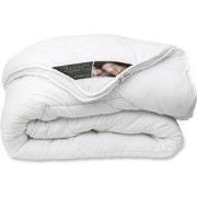 Ten Cate Dekbed - Dekbed 200x200 - Dekbedden - 4 Seizoenen Dekbed 200x...