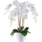 Kopu® Kunstbloem Orchidee 62 cm Wit met witte Pot - Phalenopsis