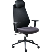 ORYN - Bureaustoel - Zwart - Mesh