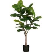 Mica Decorations Ficus Lyrata Kunstplant in Pot - H150 x Ø50 cm - Groe...