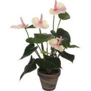Mica Decorations Anthurium Kunstplant in Bloempot Stan - H40 x Ø30 cm ...