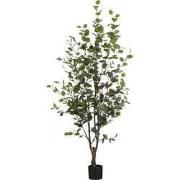 Mica Decorations Kunstplant Eucalyptusboom in Pot - H180 x Ø80 cm - Gr...