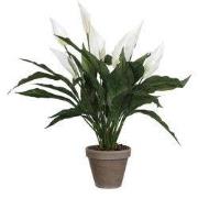 Mica Decorations Spathiphyllum Kunstplant in Bloempot Stan - H50 x Ø40...