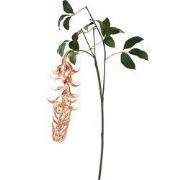 PTMD - Kunstblad Garden - Oranje - 105x60x150cm