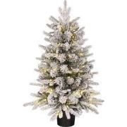 Black Box Trees Grimshaw Kerstboom met Verlichting in Pot - Kerst Boom...