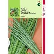 2 stuks - Bieslook Grove Allium Fistulosum