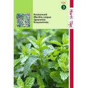 2 stuks - Kruizemunt