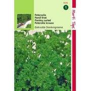 2 stuks - Peterselie