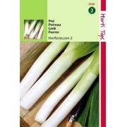 2 stuks - Prei Herfstreuzen 2 Verb. Olifant