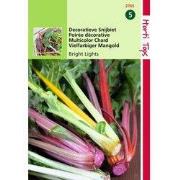 2 stuks - Snijbiet Decoratieblad Bright Lights