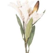 Clayre & Eef Kunstbloem 88 cm Beige Kunststof