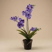 URBANJNGL - Orchidee Vanda kunstplant 60 cm - Paars - In pot