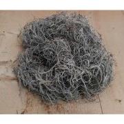 Tillandsia Tilandsia mos in bakje/zakje