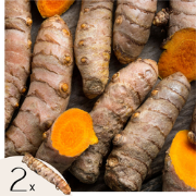 Geelwortel - Set van 2 - Curcuma Longa - Wortelstokken - Oranje