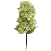 Kunst hortensia pluim lichtgroen 85 cm