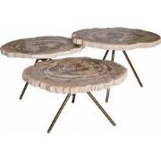 PTMD New Khine Petrified Wood Coffee Table Brass SV3