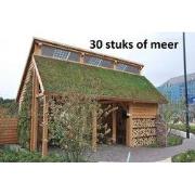 Minimaal 30 stuks! Sedummixmat T Compleet (incl. drainage type 11c & d...