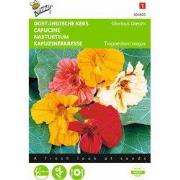 2 stuks - Tropeaolum majus Glorious Gleam Dubbelbl.