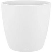 5 stuks - Brussels rond mini 7 cm wit