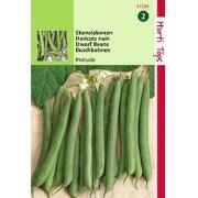 5 stuks - HT Stamslabonen Prelude, 25g