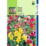 2 stuks - Petunia Pendula Cascade F1 Hybride Gem.