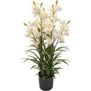 Cymbidium kunstplant 90 cm, wit