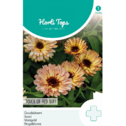 Zaden goudsbloem touch of red buff 0.75 gram