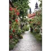 Tuindoek alley roses 210x140cm rood