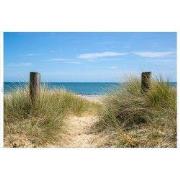 Tuindoek duinpalen 210x140cm