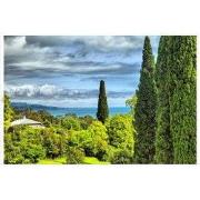 Tuindoek cypressen 210x140cm grn