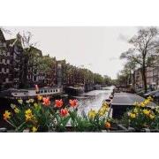 Tuinschilderij bloemengracht 130x70