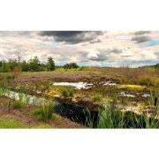 Tuinschilderij drenthe 130x70cm