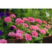 Tuinschilderij flowers 130x70cm rz