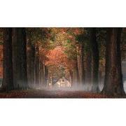 Tuinschilderij ochtenddauw 70x50cm