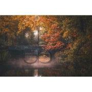 Tuinschilderij weerspiegeling 70x50