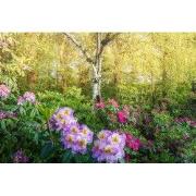 Tuinschilderij bloemen bos 130x70cm