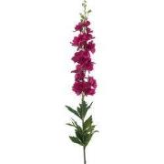 Delphinium spray RT fuchsia 90 cm