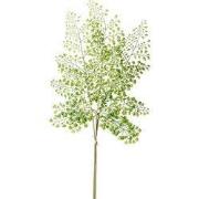 Adianthum spray bundle x3 58 cm green