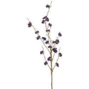 Callicarpa spray dk purple 97 cm