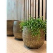 HS Potterie Bloempot Miami Goud - H30