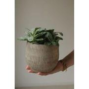 HS Potterie Bloempot Miami Grijs Bruin - 14