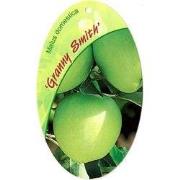 Malus Domestica Granny Smith