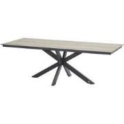 Minerva tafelframe Antracite met HPL tafelblad Teak Pattern 220 x 95 c...