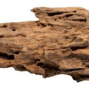 Honeycomb wood medium