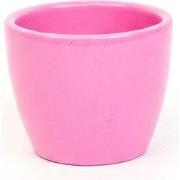 URBANJNGL - Pretty in Pink - Mini plantenpotje - Pot Boule Roze - Ø 6 ...