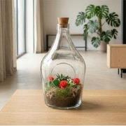 URBANJNGL - Love in a Bottle - Open terrarium met kurk - DIY kit - Eco...