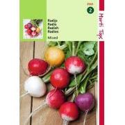 2 stuks - Radijs Ronde Gemengd