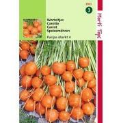 2 stuks - HT Wortelen Parijse Markt 4