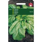 5 stuks - Spinazie Securo Orig. Wolfres.A en B 50 gram