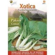 3 stuks - Xotica paksoi kanton